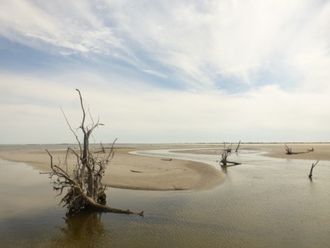 boneyard-carmella-de-los-angeles-guiol